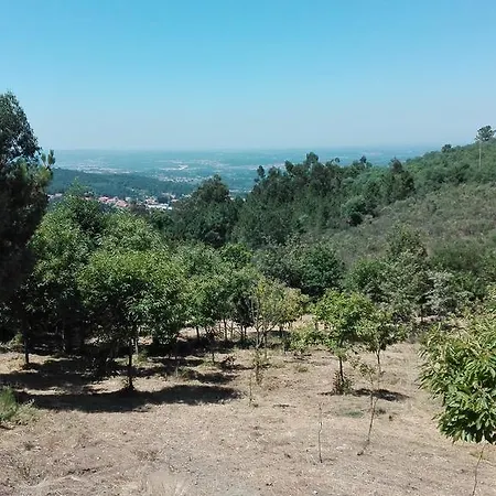 Turismo Rural Curral Do Negro مزرعة للإقامة