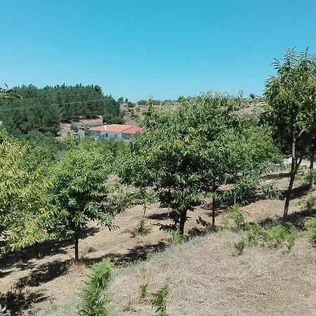 Gospodarstwo agroturystyczne Turismo Rural Curral Do Negro